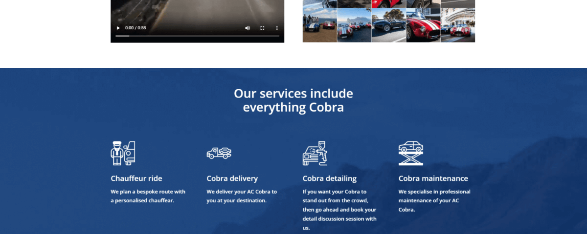cape cobra hire website