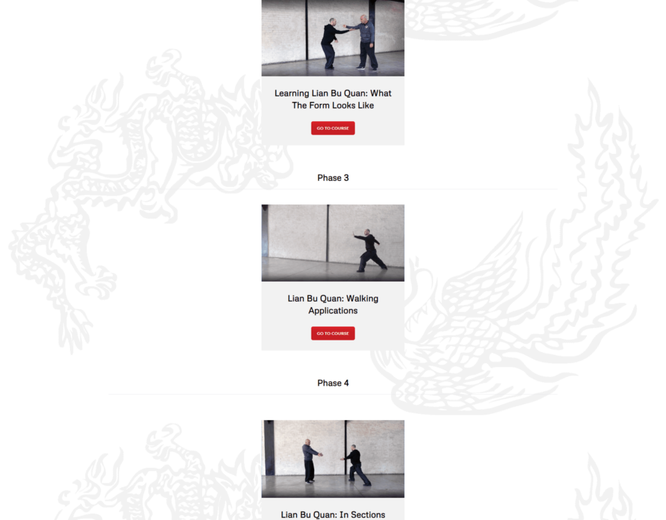 chinese martial arts and health centre online website