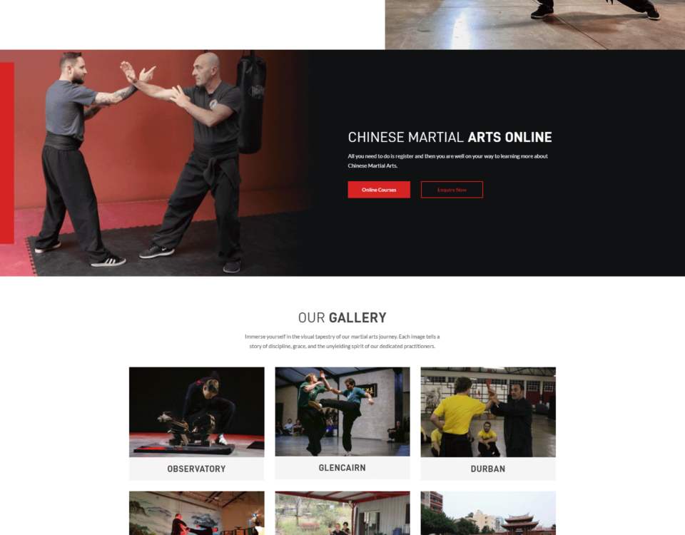 chinese martial arts and health centre website