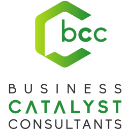 business catalyst consultants